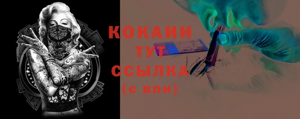 прущие крисы Горняк