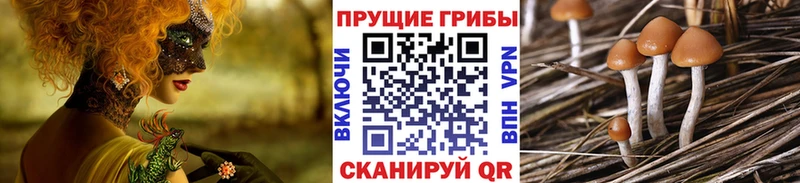 наркота кракен вход Галлюциногенные грибы GOLDEN TEACHER Нижнекамск